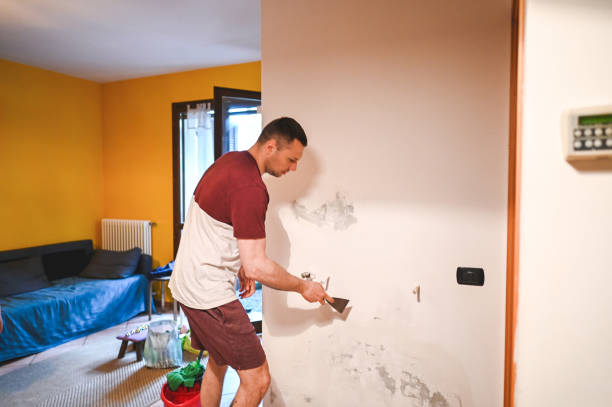 Best Insurance-Related Mold Remediation in Wise, VA